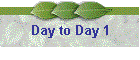 Day to Day 1