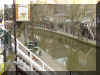 Riverwalk.jpg (173713 bytes)